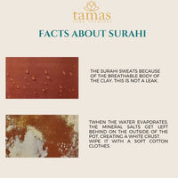Thumbnail for Tamas Handmade & Eco-Friendly Earthen Surahi With Clay Lid - Distacart