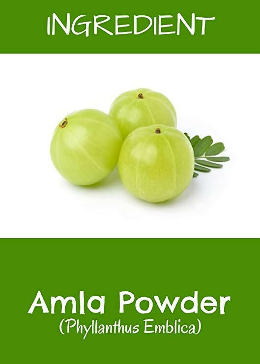 MR Ayurveda Amla Fruit Powder - Distacart