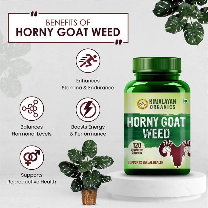 Organics Horny Goat Weed Supports Sexual Health: 120 Vegetarian Capsules