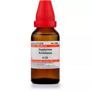 Dr. Willmar Schwabe India Eupatorium Perfoliatum Dilution - Distacart