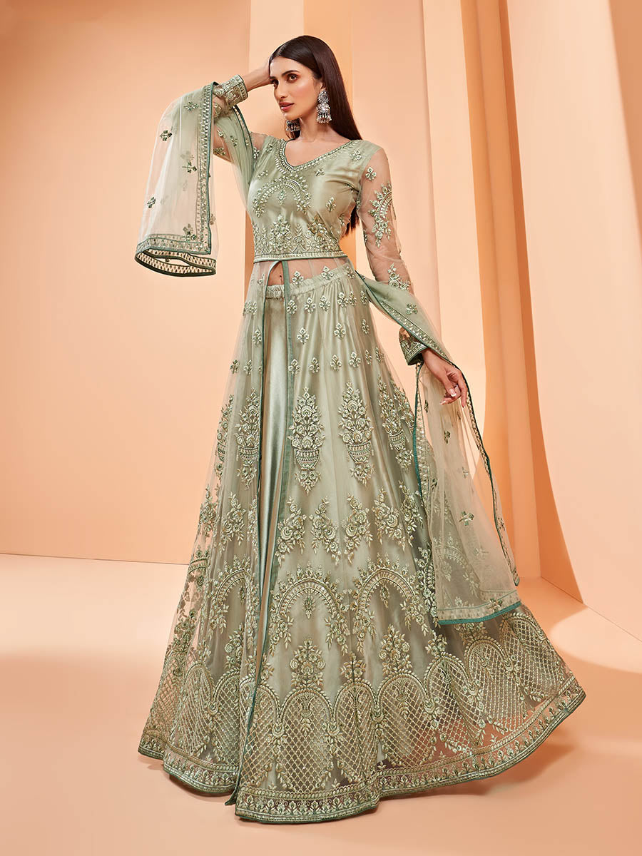 Myra Pista Green Butterfly Net Embroidery Anarkali