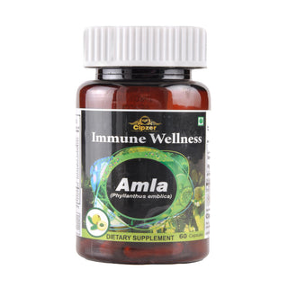 Cipzer Amla Immune Wellness Capsules - Distacart