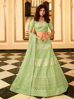 Thumbnail for Myra Pista Green Organza Embroidered Lehenga Choli