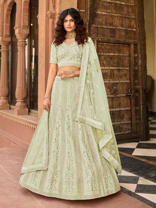 Myra Light Green Organza Embroidered Lehenga Choli