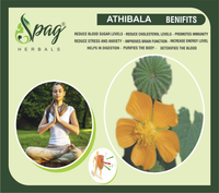 Thumbnail for Spag Herbals Atibala Powder - Distacart