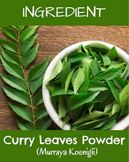 Mr Ayurveda Curry Leaves Powder - Distacart