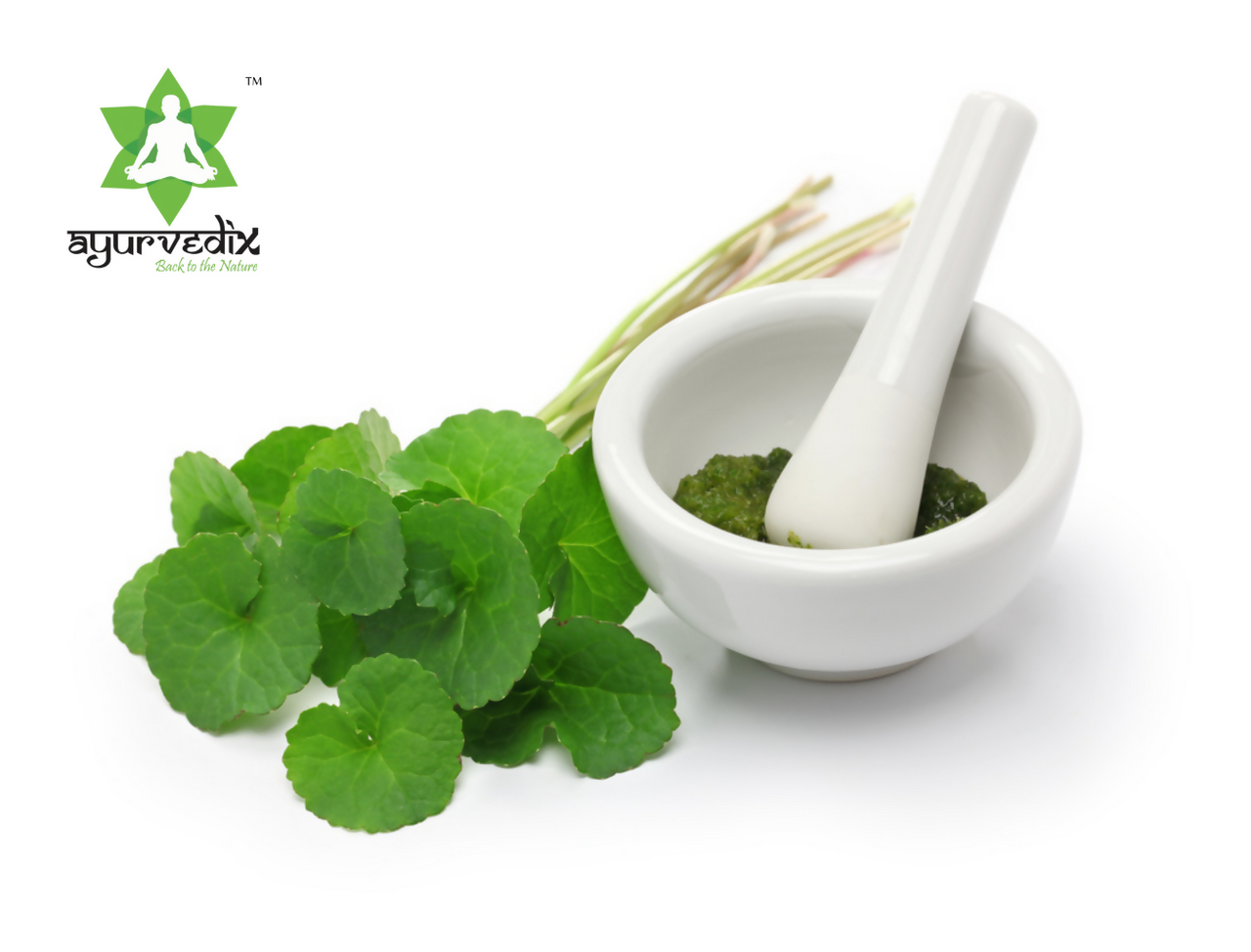 Ayurvedix Organic Gotu Kola Leaf Extract Powder - Distacart