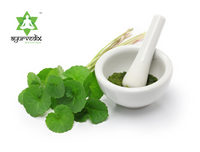 Thumbnail for Ayurvedix Organic Gotu Kola Leaf Extract Powder - Distacart