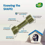 Thumbnail for Happi Doggy Dental Chew Care Digestive Support Pumpkin & Mountain Yam - Distacart