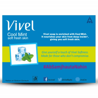 Vivel Cool Mint, Soft Fresh Skin Soap - Distacart