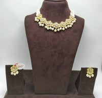 Thumbnail for Khavi Arts Enamel Studded Pearl Choker-White - Distacart