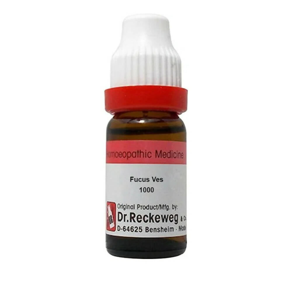Dr. Reckeweg Fucus Ves Dilution - Distacart