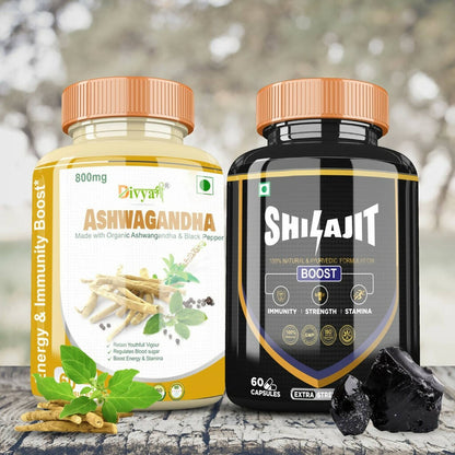 Divya Shree SJ Capsule and Ashwagnadha Capsule Combo - Distacart