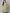 NOZ2TOZ Green Printed 3/4Th Sleeve Cotton A-Line Kurta - Distacart