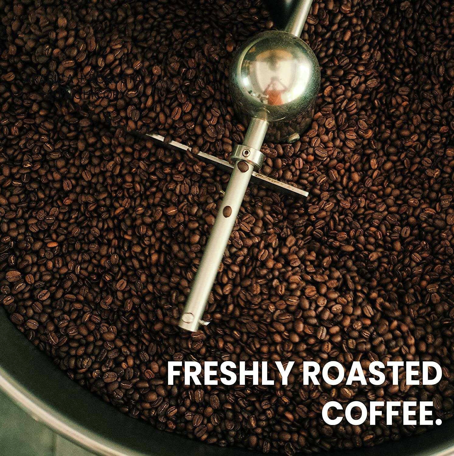 Black Baza Coffee Jumping Ant - Distacart