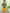 NOZ2TOZ Kids Printed Cotton Kurta with Dhoti for Boys - Green - Distacart