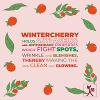 Thumbnail for Ningen Winter Cherry Cold Cream - Distacart