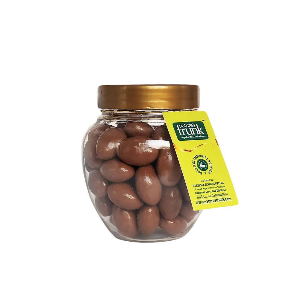 Nature's Trunk Raisins Choco - Distacart