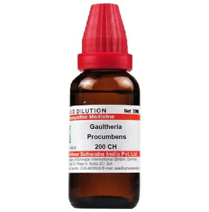 Dr. Willmar Schwabe India Gaultheria Procumbens Dilution - Distacart