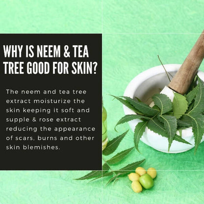 Organicos Neem & Tea Tree Face Cleanser - Distacart