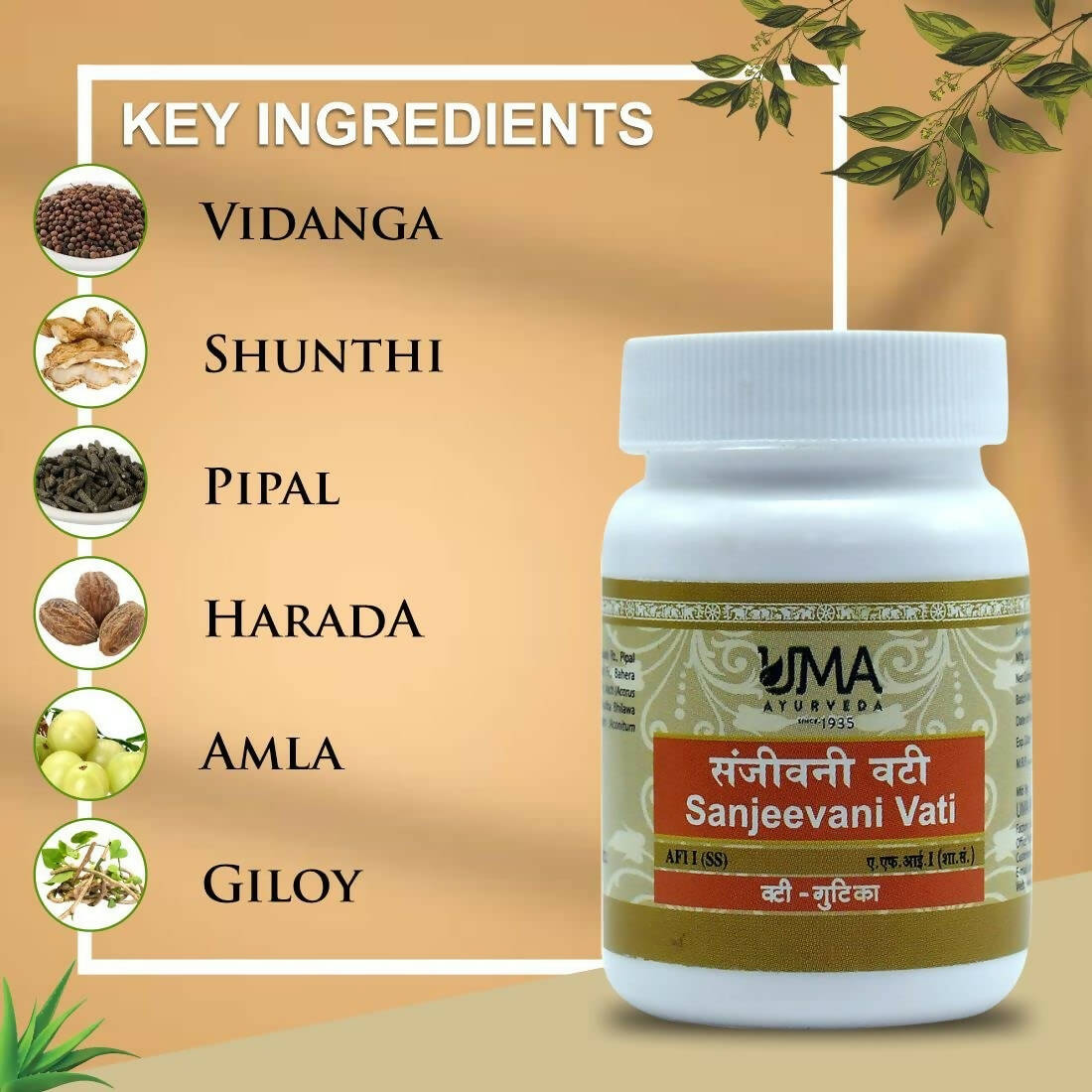 Uma Ayurveda Sanjeevani Vati - Distacart