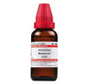Dr. Willmar Schwabe India Ammonium Benzoicum Dilution