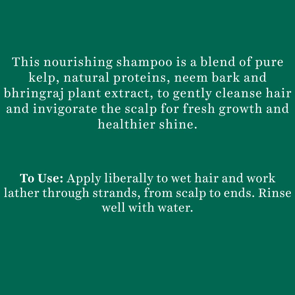 Bio Kelp Protein Shampoo 