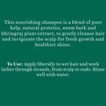 Thumbnail for Bio Kelp Protein Shampoo 