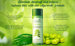 Thumbnail for Biotique Bio Neem Margosa Anti Dandruff  