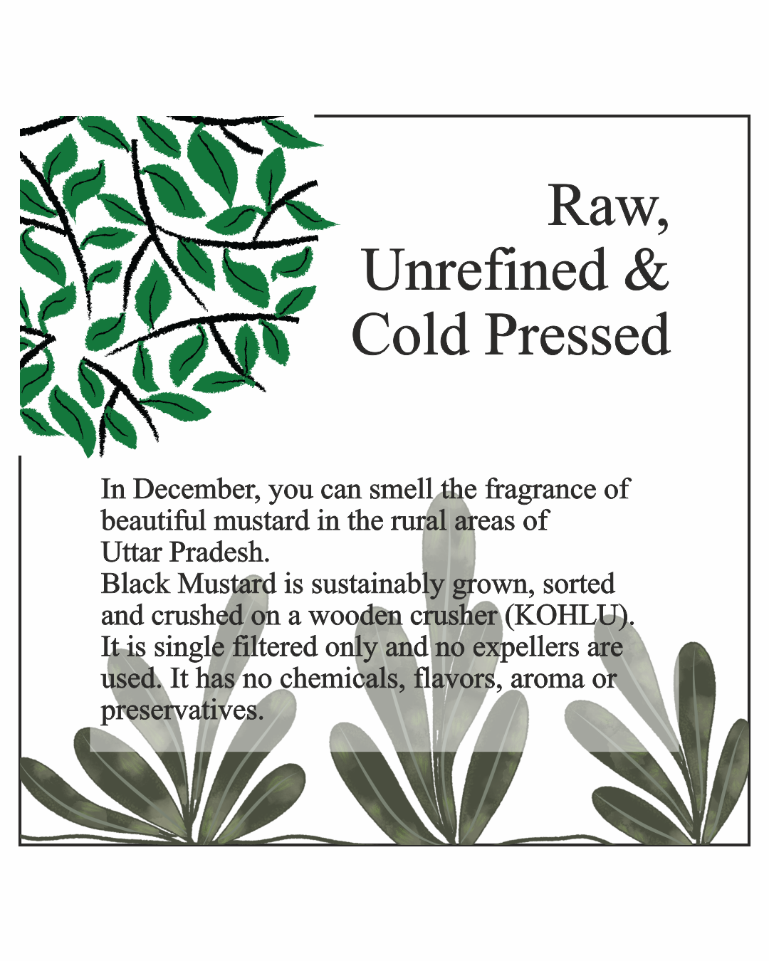Asavi Cold Pressed Black Mustard Oil - Distacart