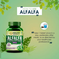 Thumbnail for Himalayan Organics Alfalfa + Calcium Citrate Malate 1200mg Tablets Online