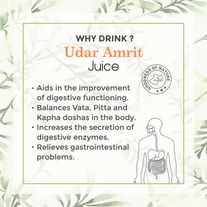Four Seasons Udar Amrit Juice - Distacart