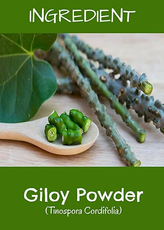 MR Ayurveda Giloy Powder - Distacart