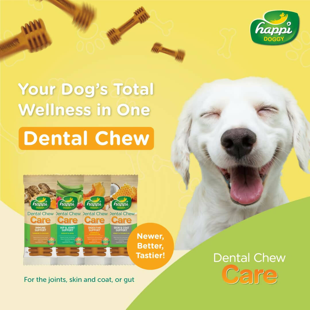 Happi Doggy Dental Chew Care Immune Support Turmeric & Shiitake - Distacart