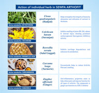 Thumbnail for Sewfa Naturals Arthofit Capsules - Distacart