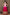 Kids Wedding Designer Pink Georgette Lehenga Choli - Aaradhna - Distacart