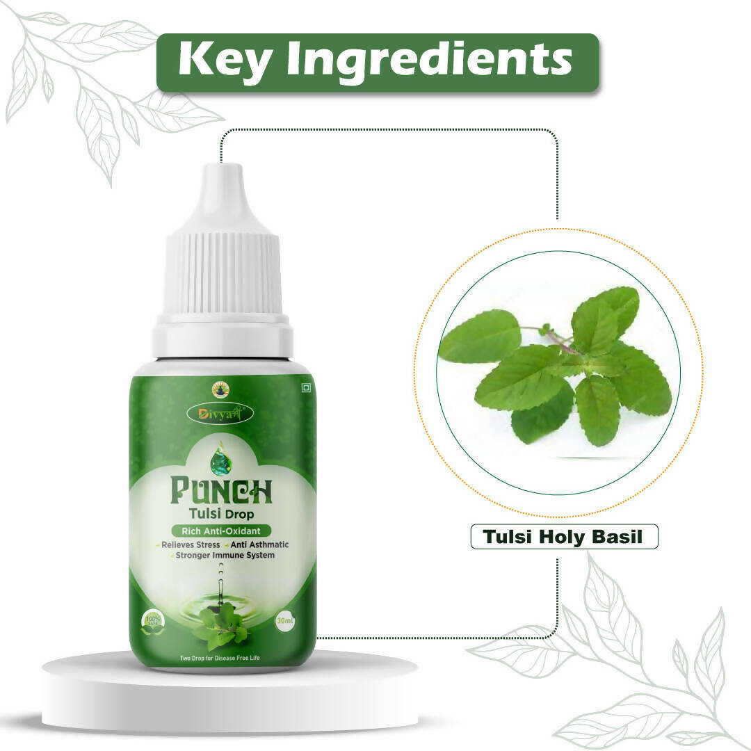 Divya Shree Punch Tulsi Drops - Distacart