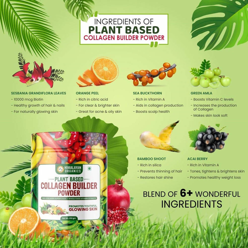 Himalayan Organics Plant Based Collagen Builder Powder - Distacart