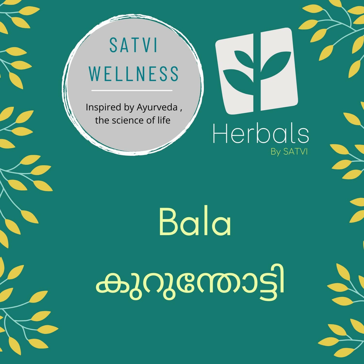 Satvi Wellness Dry Bala / Kurunthoti Chopped - Distacart