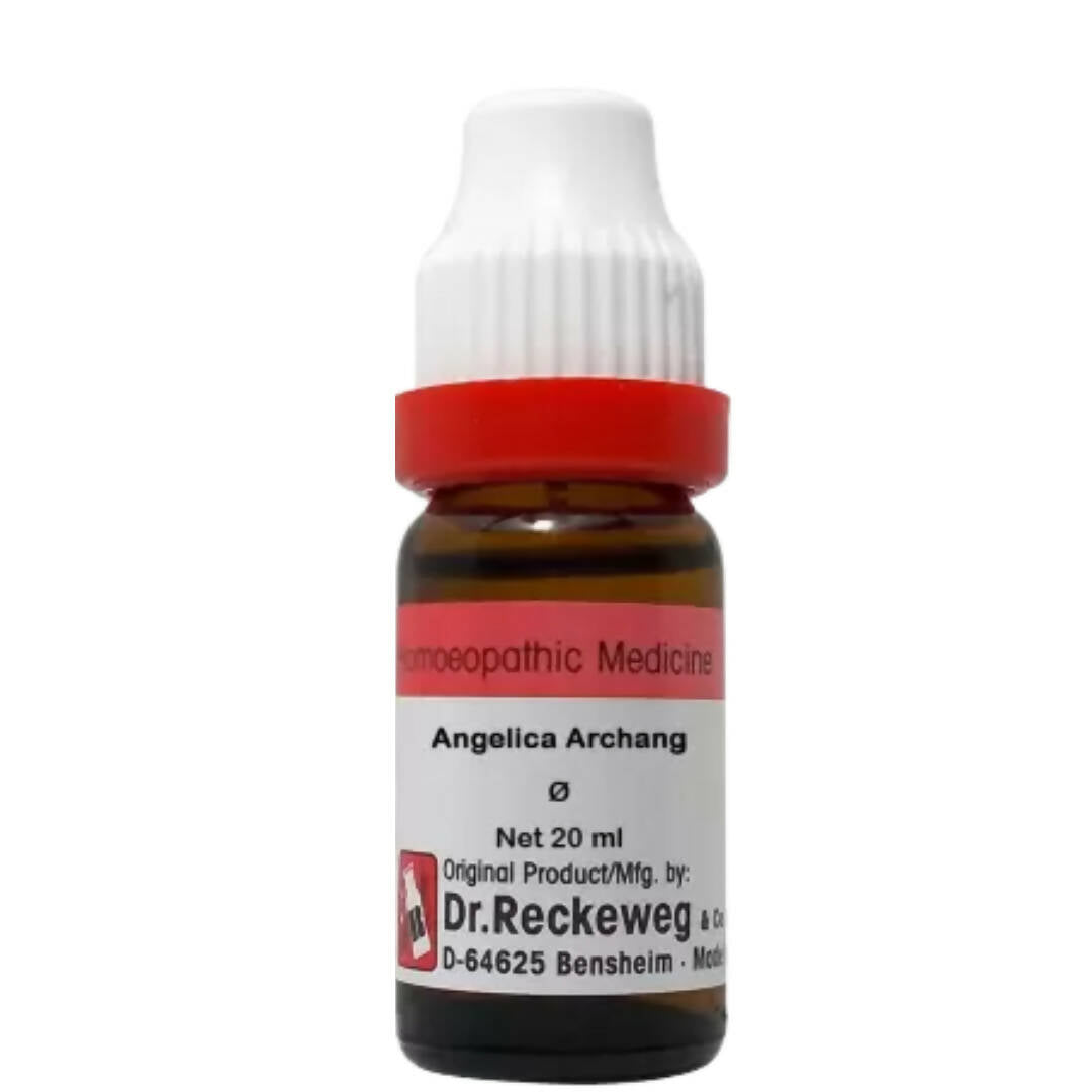 Dr. Reckeweg Angelica Archang Mother Tincture Q - Distacart