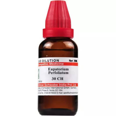 Dr. Willmar Schwabe India Eupatorium Perfoliatum Dilution - Distacart