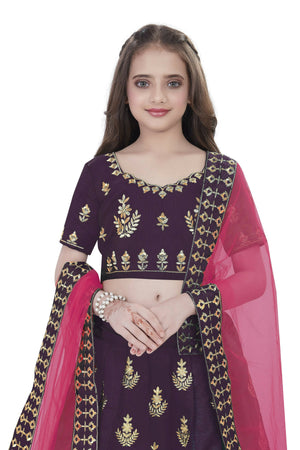 Dwiden Purple Kamal Tafetta Sattin Semi-Stitched Girl's Lehenga Choli - Distacart