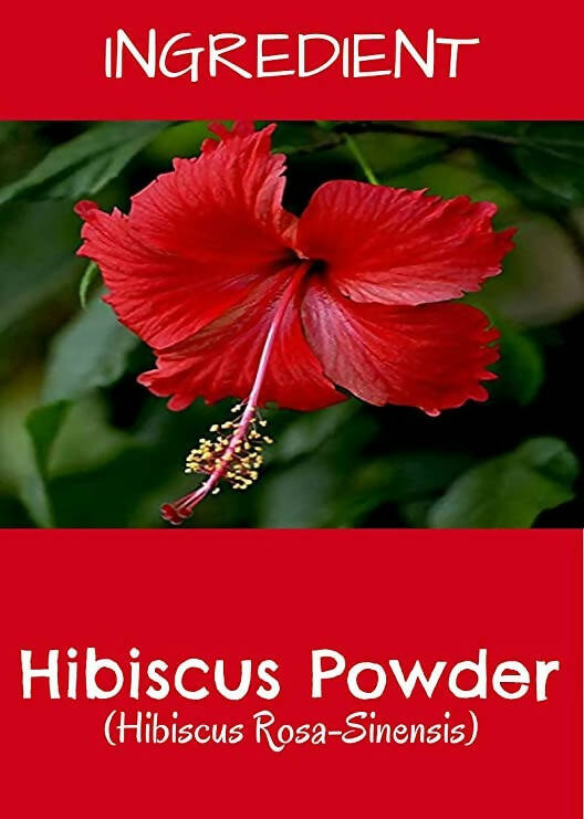MR Ayurveda Hibiscus Powder - Distacart