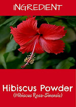 Thumbnail for MR Ayurveda Hibiscus Powder - Distacart