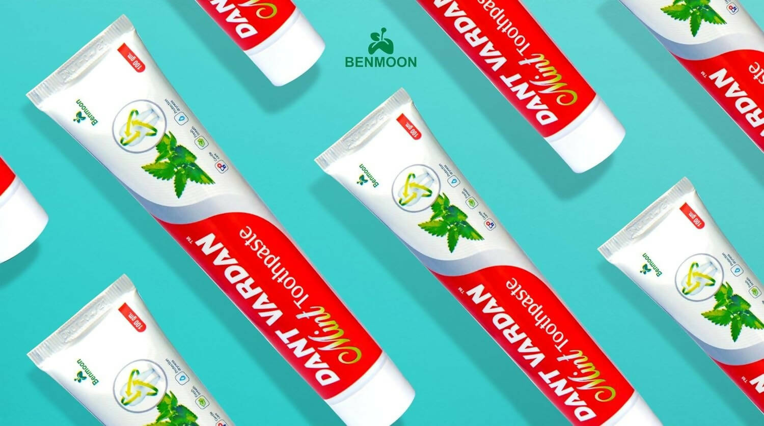 Benmoon Ayurveda Dant Vardan Mint Toothpaste - Distacart