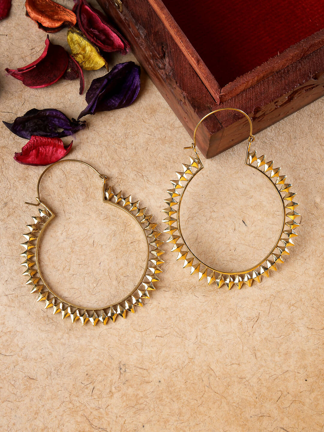 NVR Women Golden Full Circular Hoop Earrings - Distacart