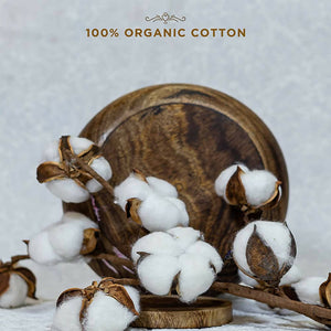 Pee Safe Organic Cotton Biodegradable Sanitary Pads-Quarterly Pack - Distacart