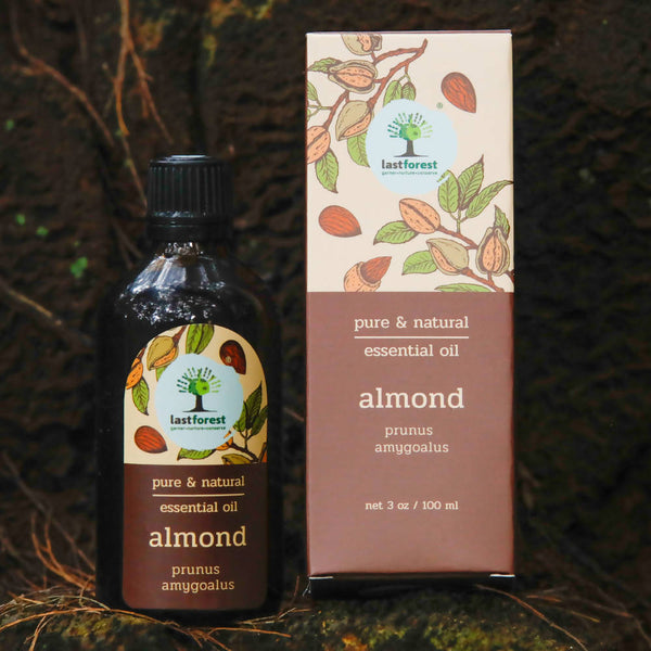 Lastforest Therapeutic Essential Oil Almond - Distacart