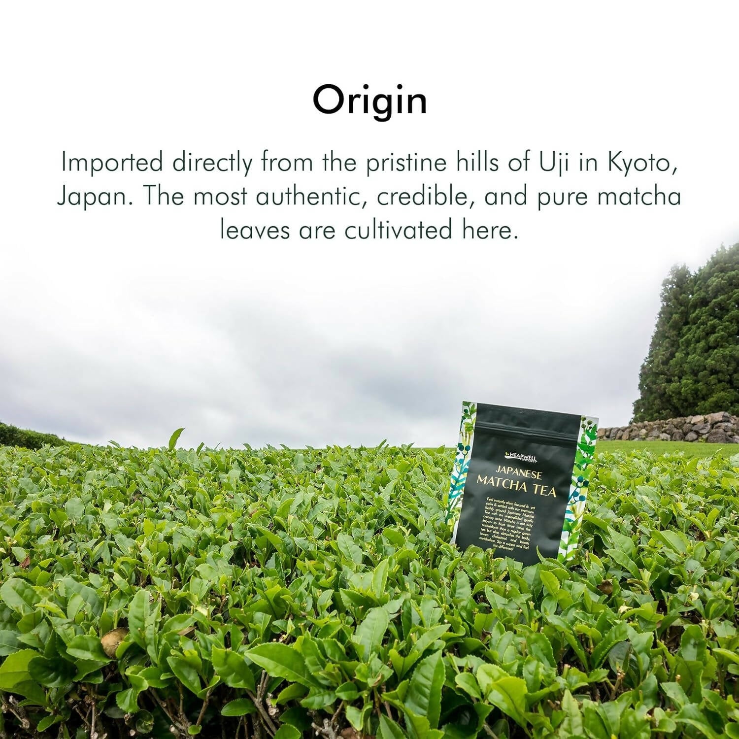 Heapwell Superfoods Japanese Ceremonial Matcha Green Tea - Distacart