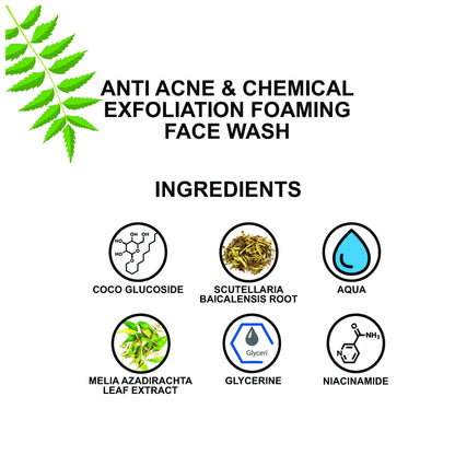 Love Earth Anti Acne & Chemical Exfoliation Foaming Face Wash - Distacart